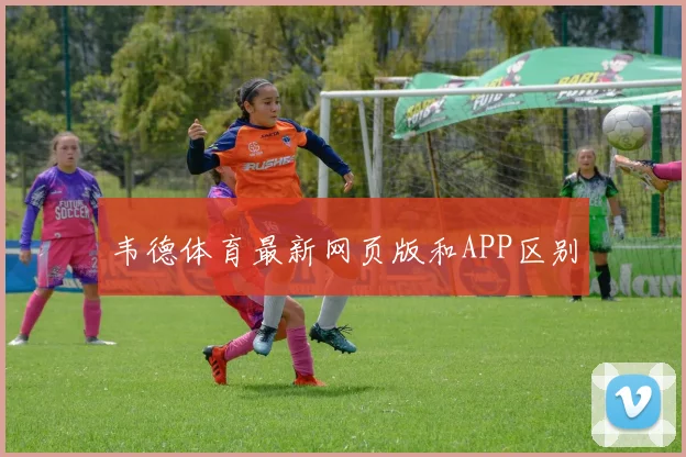 韦德体育最新网页版和APP区别