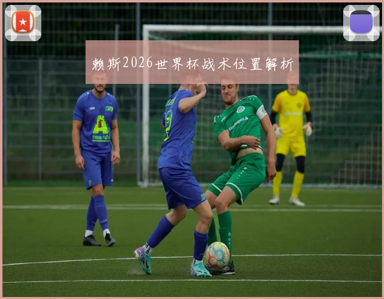 赖斯2026世界杯战术位置解析