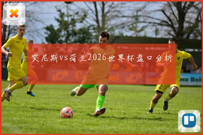 突尼斯vs荷兰2026世界杯盘口分析