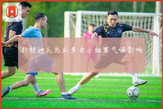 科特迪瓦厄瓜多尔小组赛气候影响